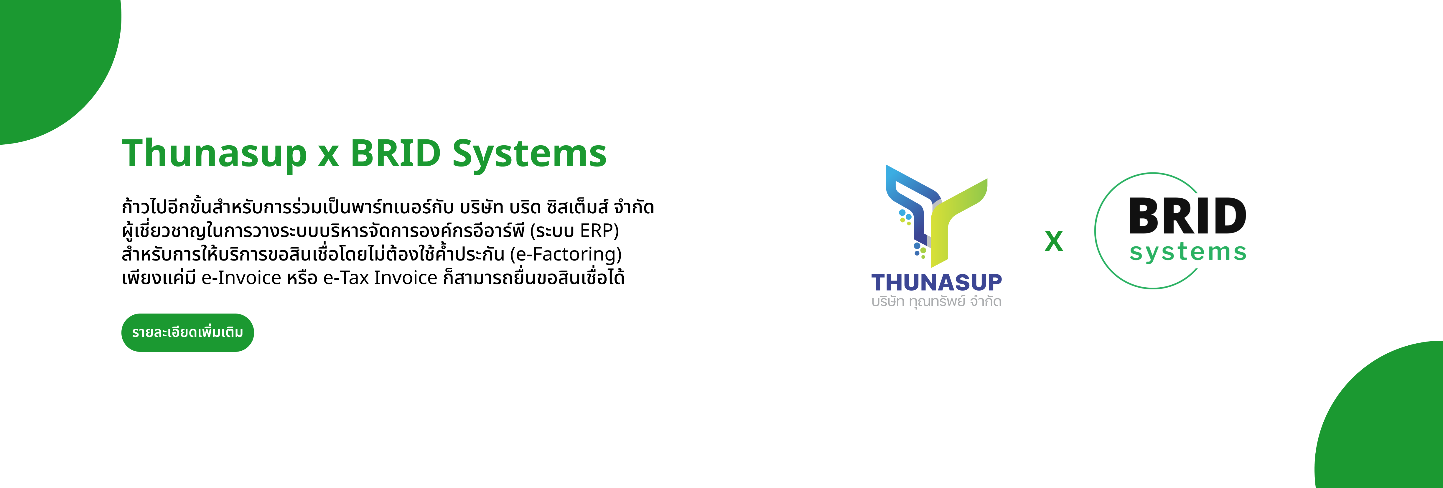 bridsystems-banner-lg