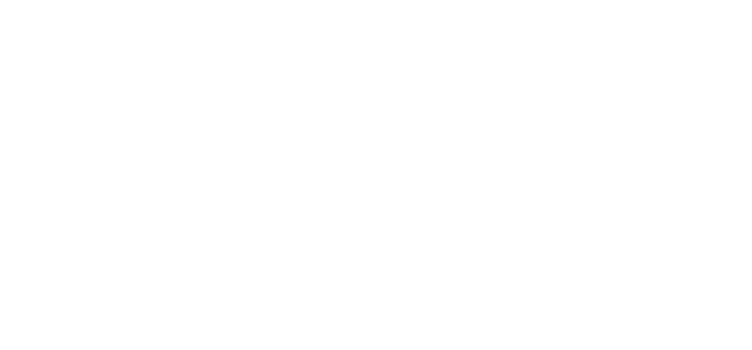 inet logo